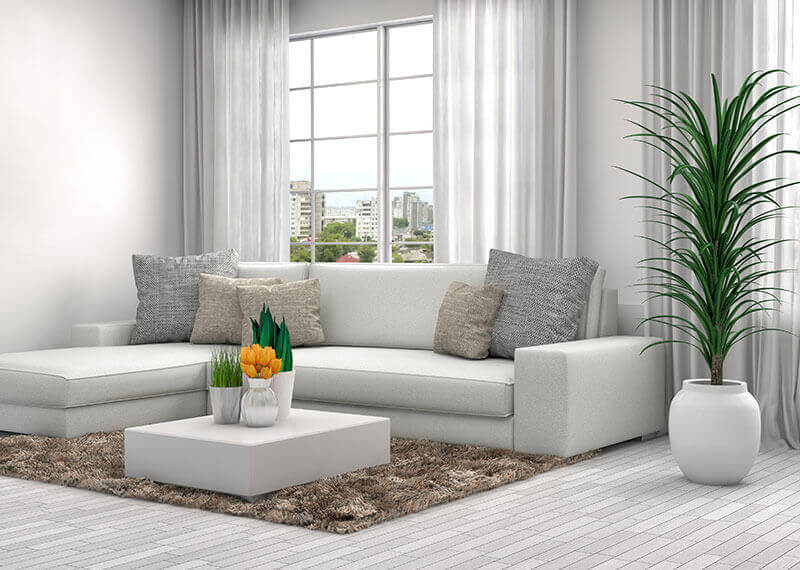 Espace de vie élégant avec mobilier haut de gamme et décoration raffinée